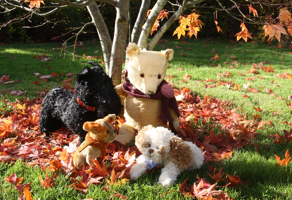 Teddy nyder solskinsvejr i haven med "hundene"
